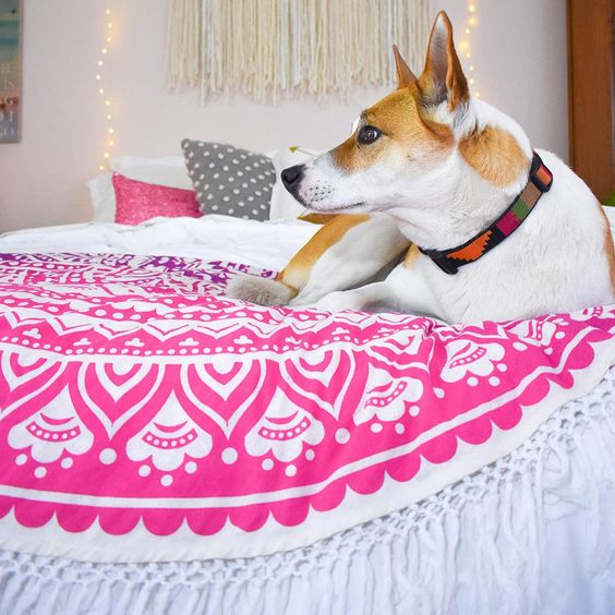Using Wall Tapestry in innovative ways